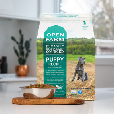 Open Farm Dog Grain Free Puppy Chicken &amp; Salmon Recipe 22lb
