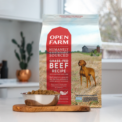 Open Farm Grain Free Grass Fed Beef Recipe 4lb