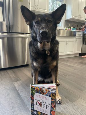 The Forever Dog Life: 120+ Recipes, Longevity Tips, and New Science for Better Bowls and Healthier Homes