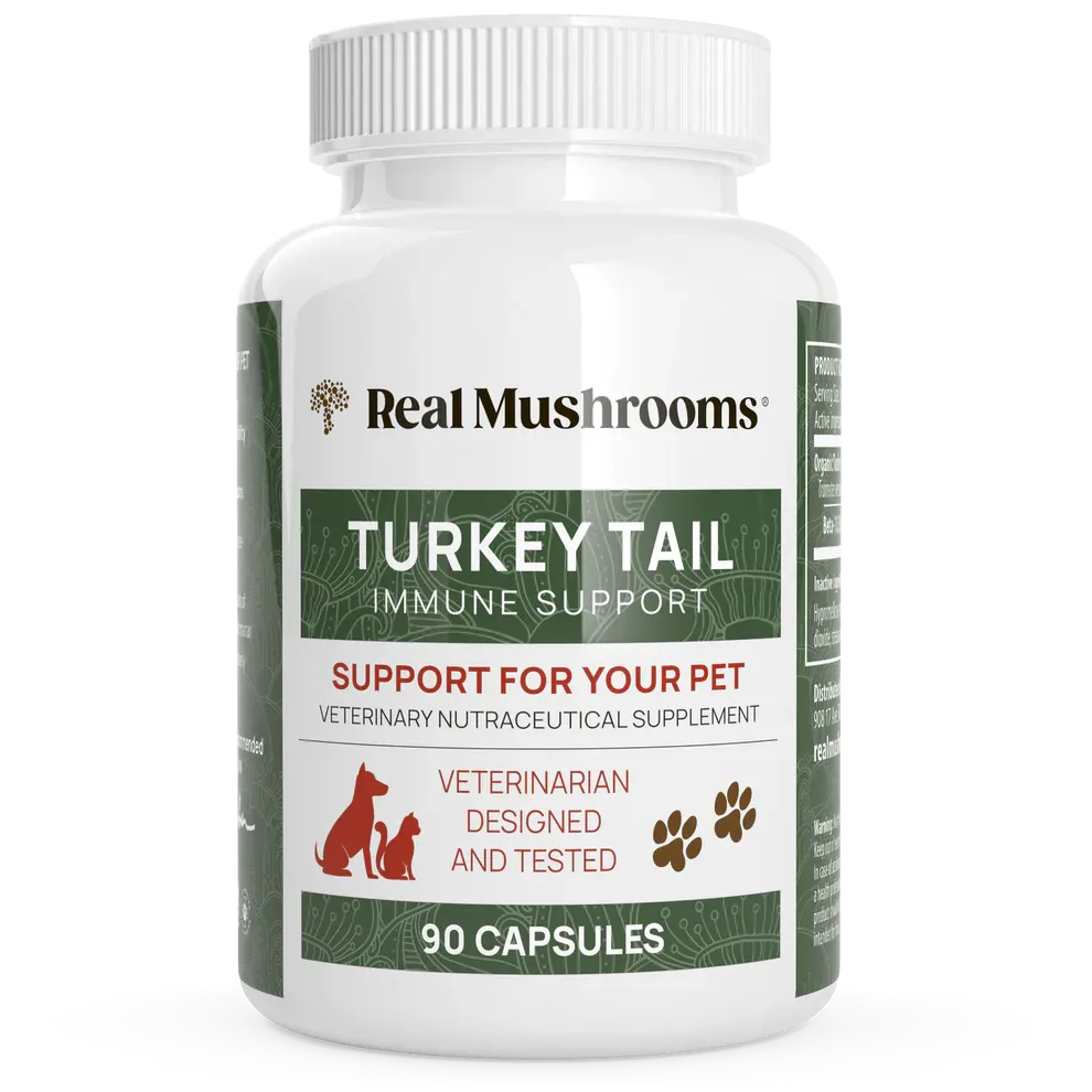 Real Mushrooms  Turkey Tail Extract Capsules for Pets | 90 Capsules