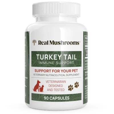 Real Mushrooms  Turkey Tail Extract Capsules for Pets | 90 Capsules