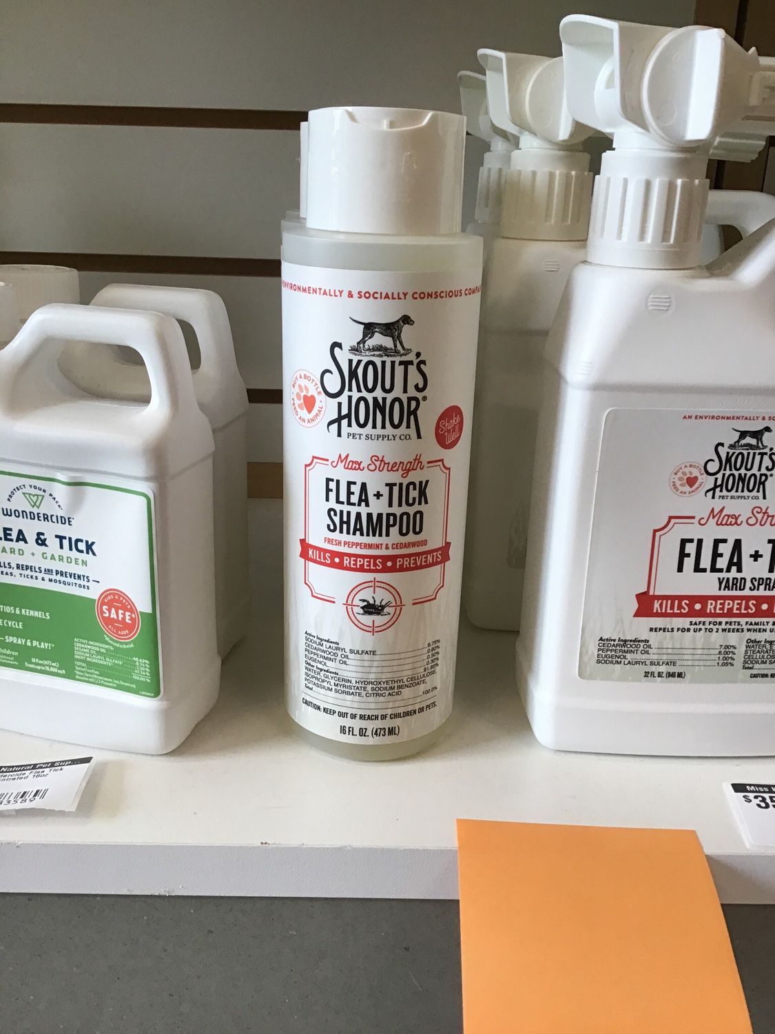 Skout Flea &amp; Tick Shampoo 16oz