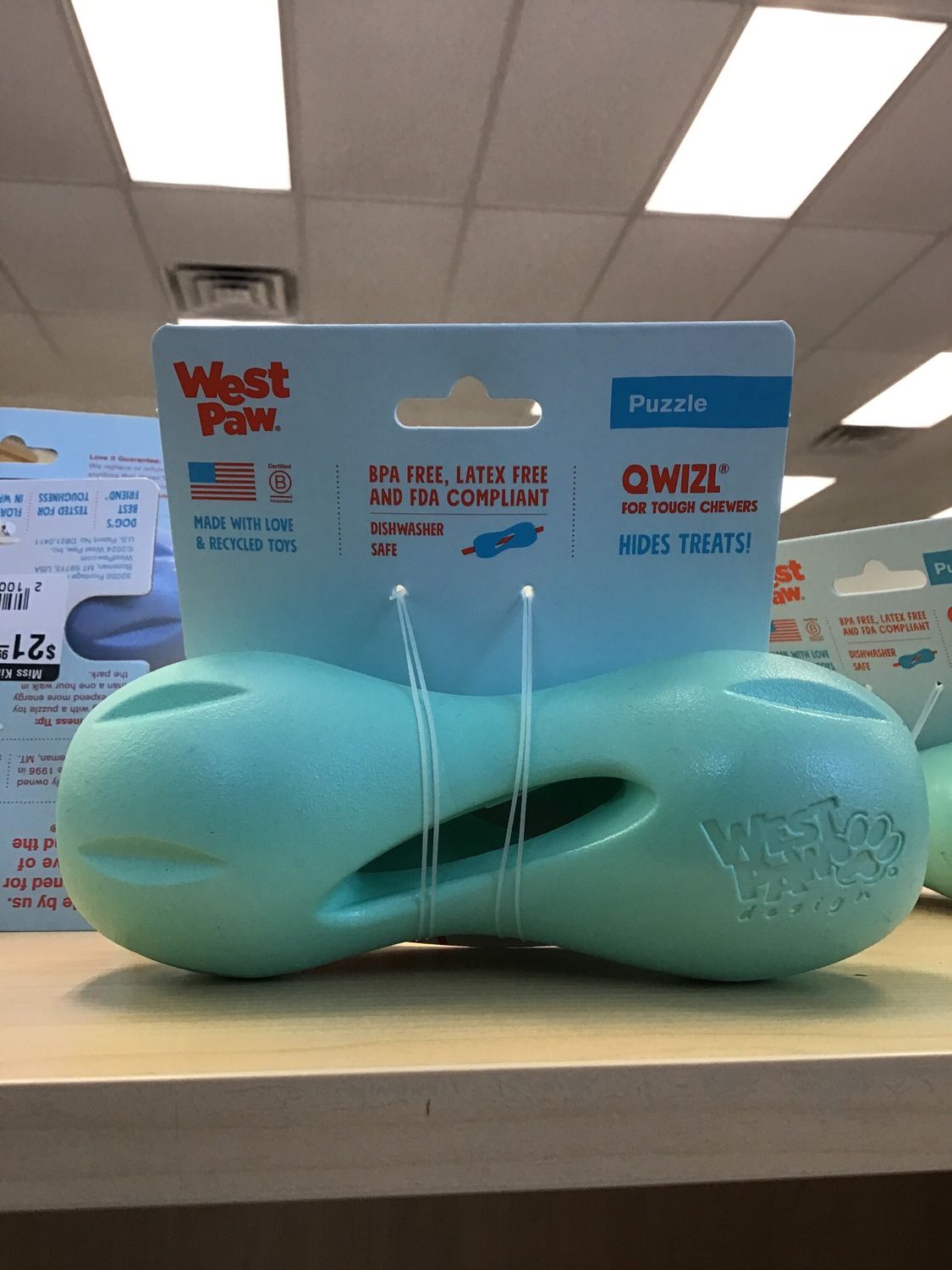 West Paw Qwizl Large Mint