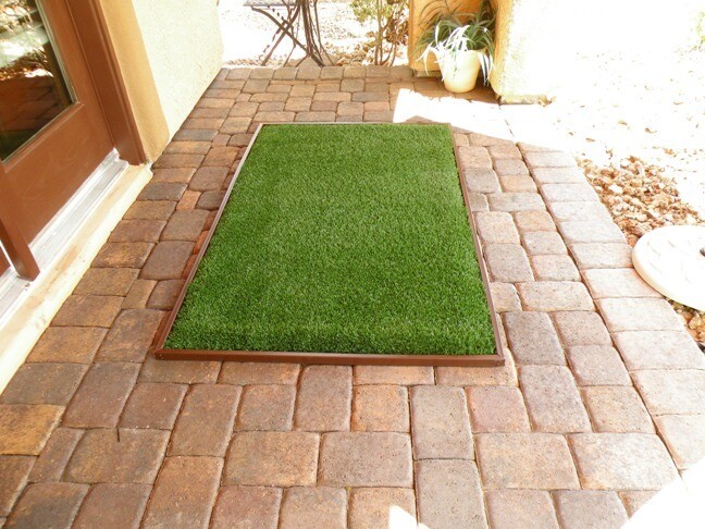 Patio Lawn Kit 3' x 5'