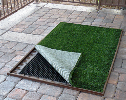 Patio Lawn Kit 3' x 10'