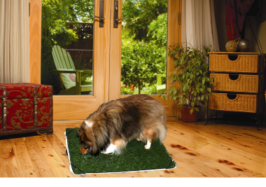 Pup-Head® Lite-Portable Dog Potty Regular