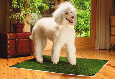 Pup-Head® Lite-Portable Dog Potty -Large