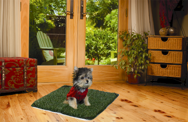 Pup-Head® Lite-Portable Dog Potty -Mini