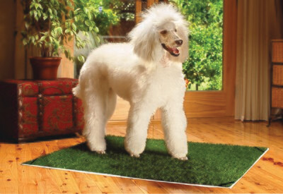 Pup-Head® Lite  Dog Potties and Accessories