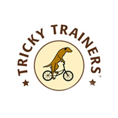 Tricky Trainers