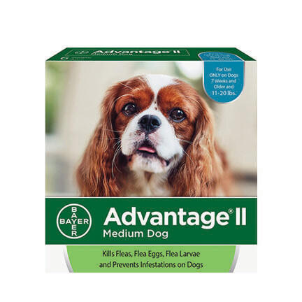 Advantage II Dog M 11-20#