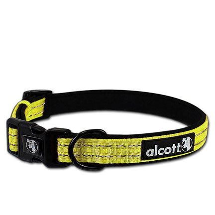 Alcott Collar Neon Y S
