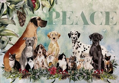 AARF Cats Dogs Peace Card