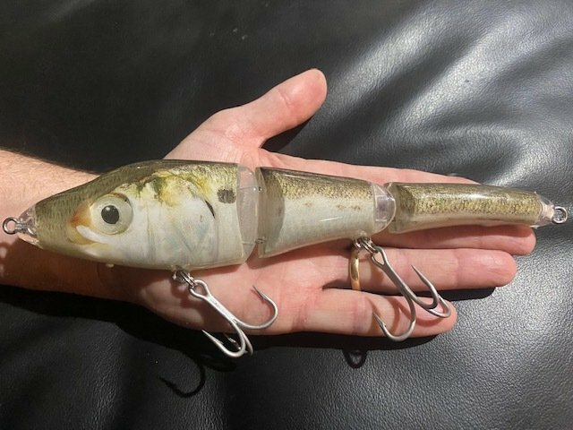 Pogie (Bunker) Large Jointed Swim Bait, 9 in, 4.5 oz slow sink