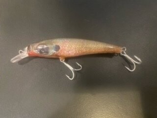 Baby Red Breasted Pumpkinseed Floating Swim Bait, 3.75 in, .8 oz "Credit Card or PayPal accepted at checkout"