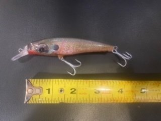 Baby Red Breasted Pumpkinseed Floating Swim Bait, 3.75 in, .8 oz