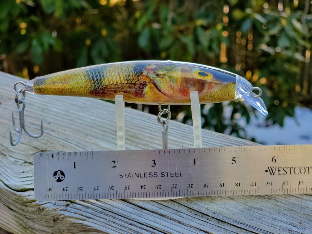 Perch Live Series Casting Swim Bait, 5.5 in, 1.6 oz