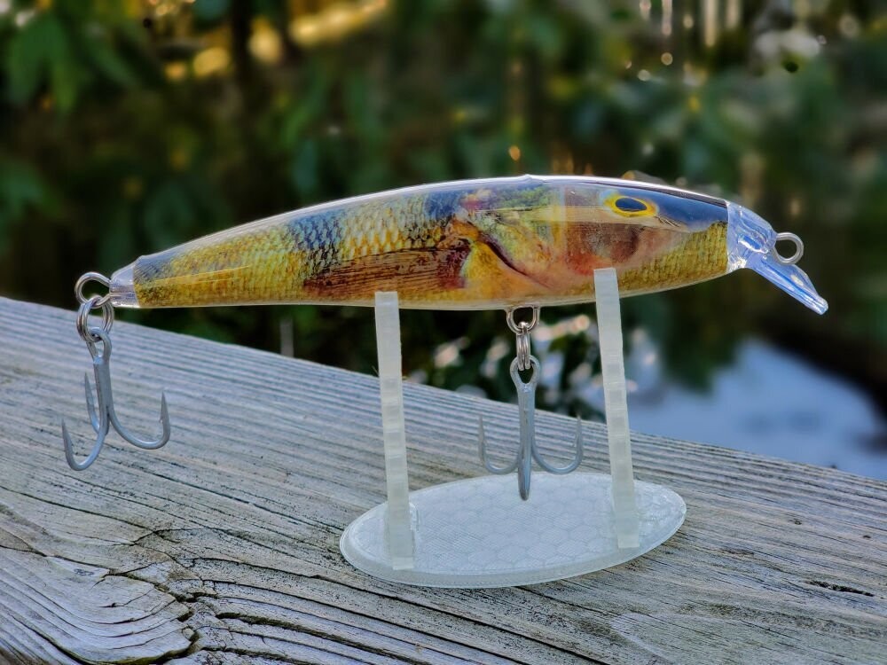 Perch Live Series Casting Swim Bait, 5.5 in, 1.6 oz "Credit Card or PayPal accepted at checkout"