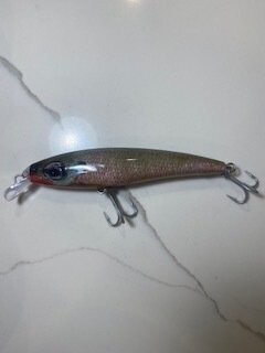 Baby Pumpkinseed Live Series Casting Swim Bait, 5.5 in, 1.6 oz "Credit Card or PayPal accepted at checkout"