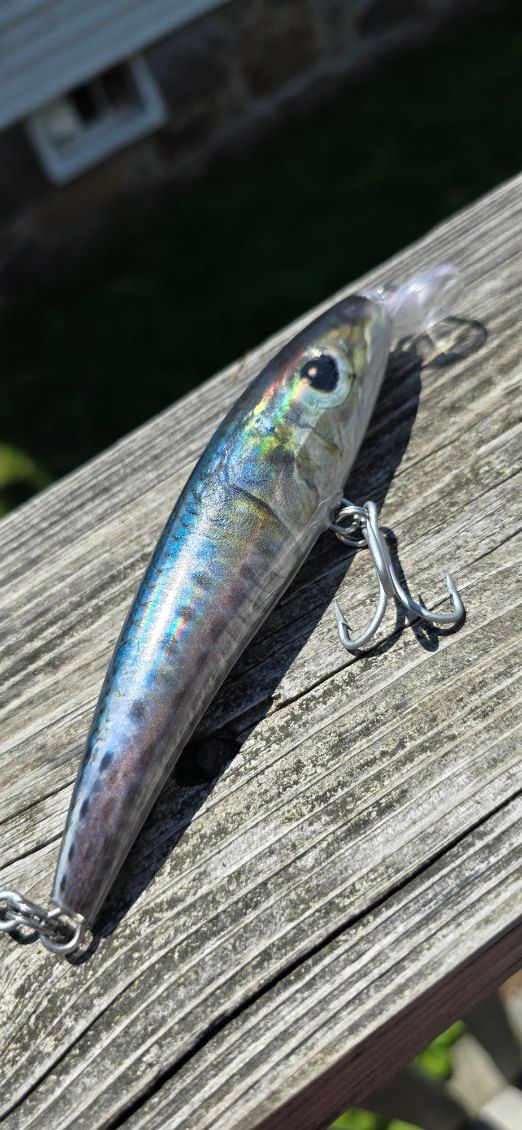 Foil Sardine, 5.5 in, 1.6 oz 