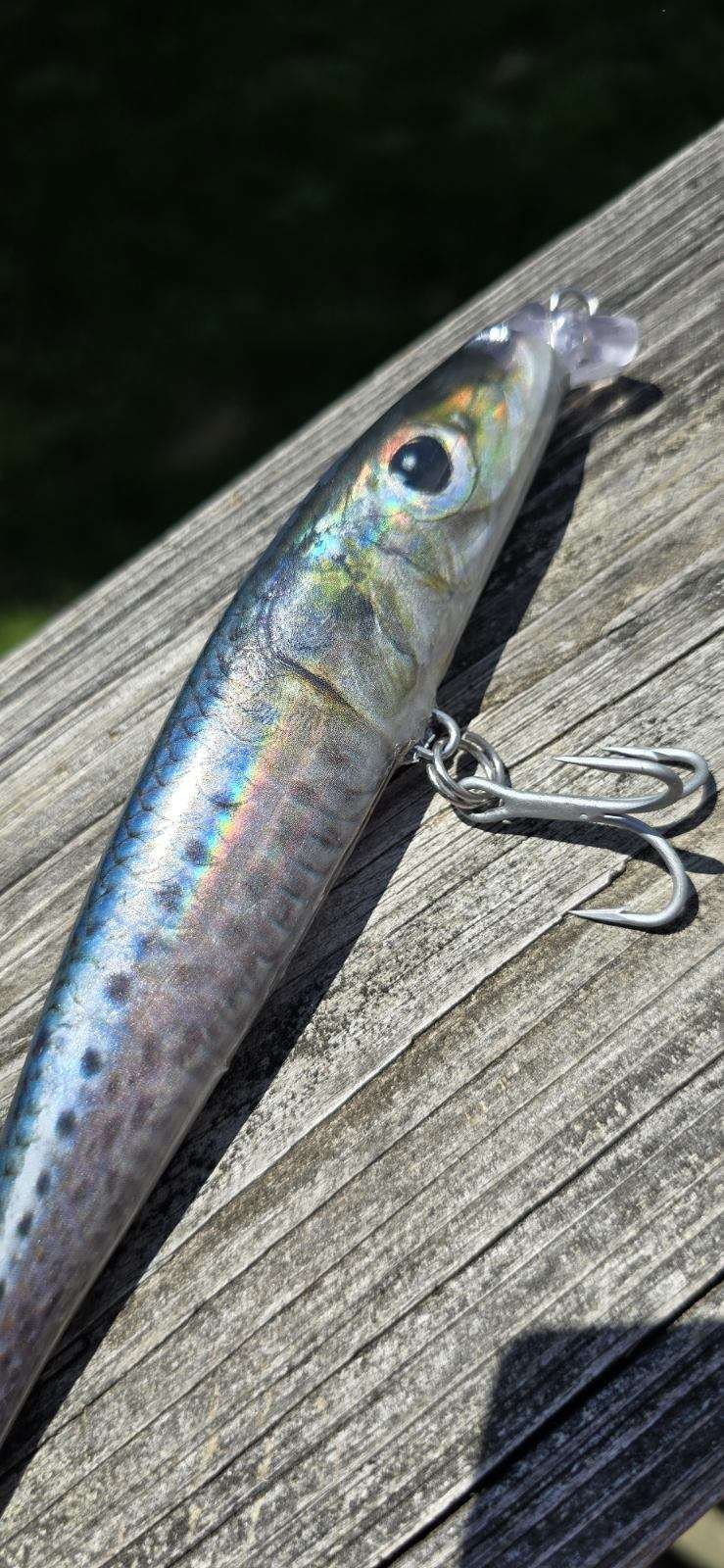 Natural Sardine, 6.75 in, 1.6 oz 