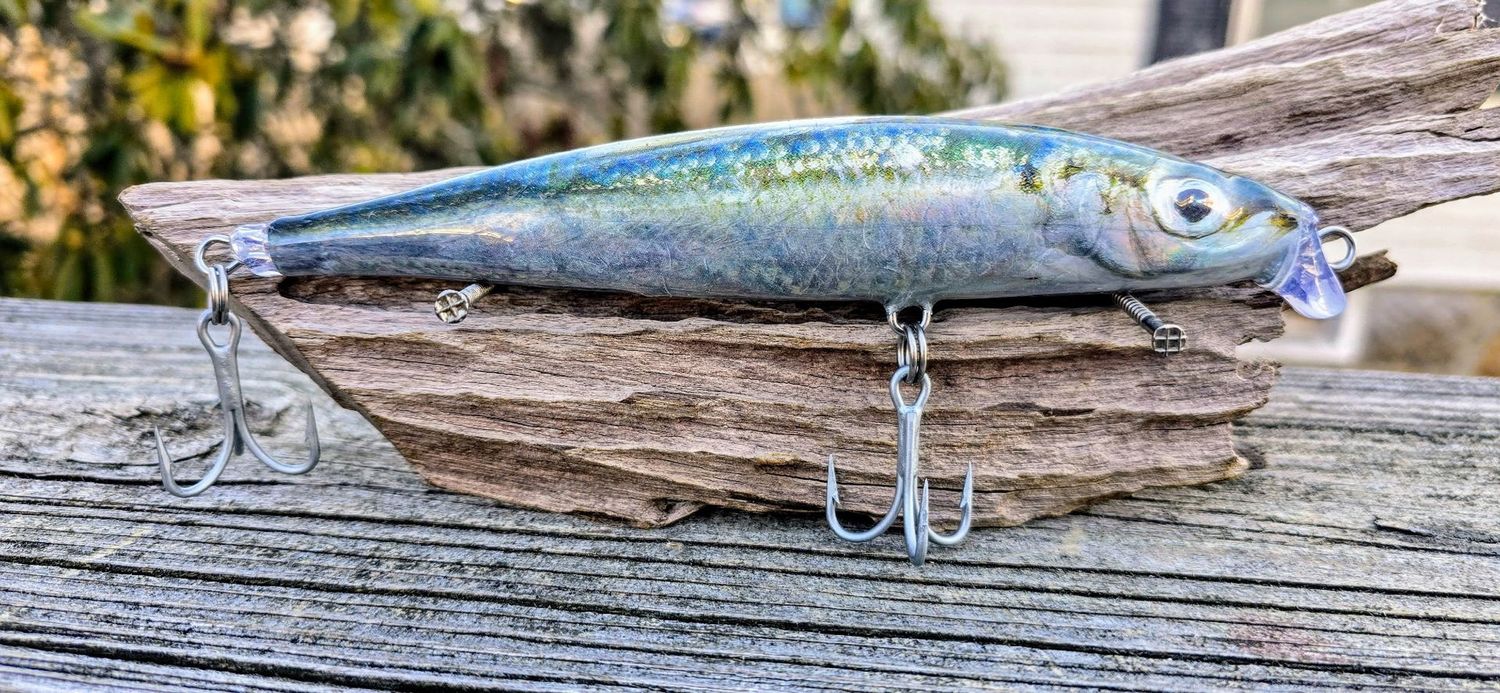 Baby Foil Herring Live Series, Casting Swim Bait, 6.75 in, 1.6 oz, "Credit Card or PayPal accepted at checkout"