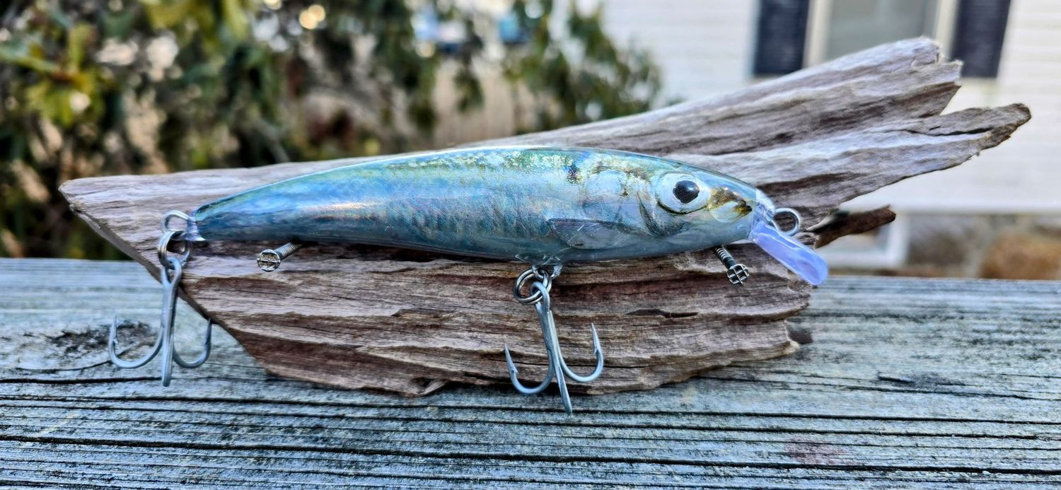 Baby Foil Herring Live Series, Casting Swim Bait, 5.5 in, 1.6 oz "Credit Card or PayPal accepted at checkout"