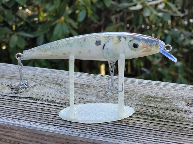 Baby Bunker Pogie Live Series Casting Crank Bait, 5.5 in, 1.6 oz. Baby Bunker Pogie Live Series Casting Crank Bait, 5.5 in, 1.6 oz.