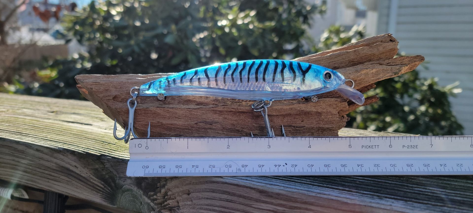Custom Hand Painted Blue Mackerel, 5.5 in, 1.6 oz.