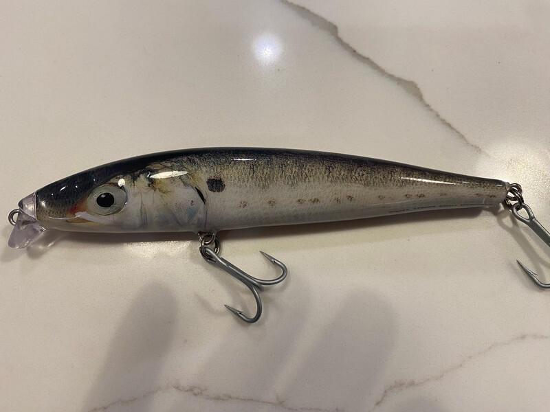 Baby Bunker Pogie Baby Bunker Pogie "Bunker", 6.75 in, 1.6 oz Shallow Swimming Lure.