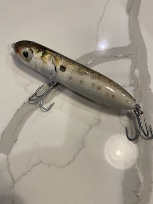 Pogie Pogie "Bunker" Floating Top Water Spook Bait, 7 in, 3.10 oz.