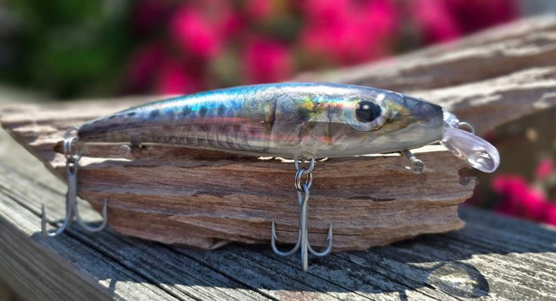 Foil Sardine, 5.5 in, 1.6 oz. Foil Sardine, 5.5 in, 1.6 oz.