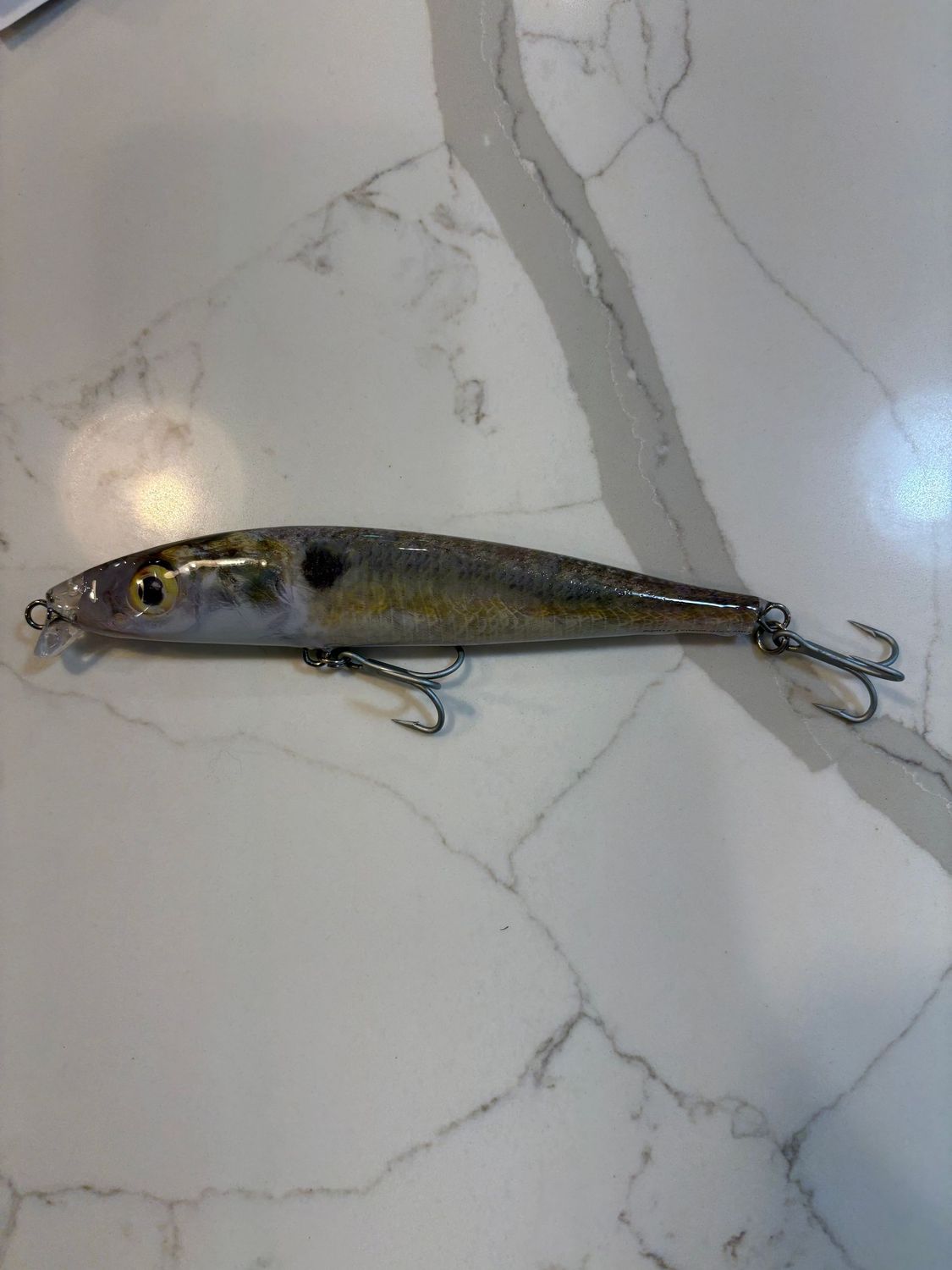 Natural Gizzard Shad Shallow Swimmer, 6.75 in, 1.6 oz, Best Seller.
