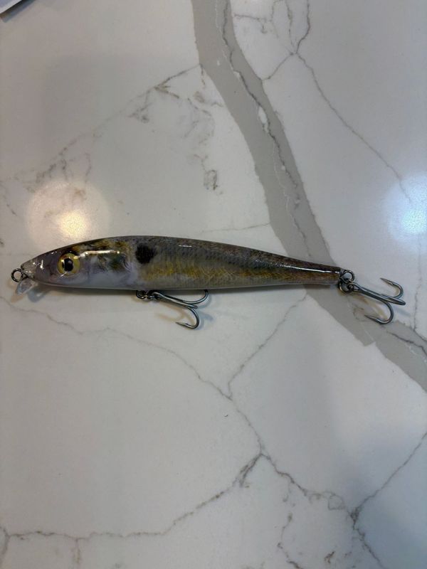 Natural Gizzard Shad Shallow Swimmer, 6.75 in, 1.6 oz, Best Seller. Natural Gizzard Shad Shallow Swimmer, 6.75 in, 1.6 oz, Best Seller.