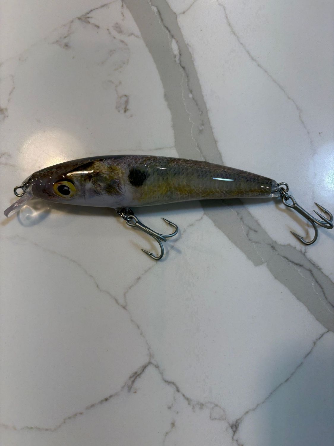 Baby Gizzard Shad Live Series Casting Crank Bait, 5.5 in, 1.6 oz.