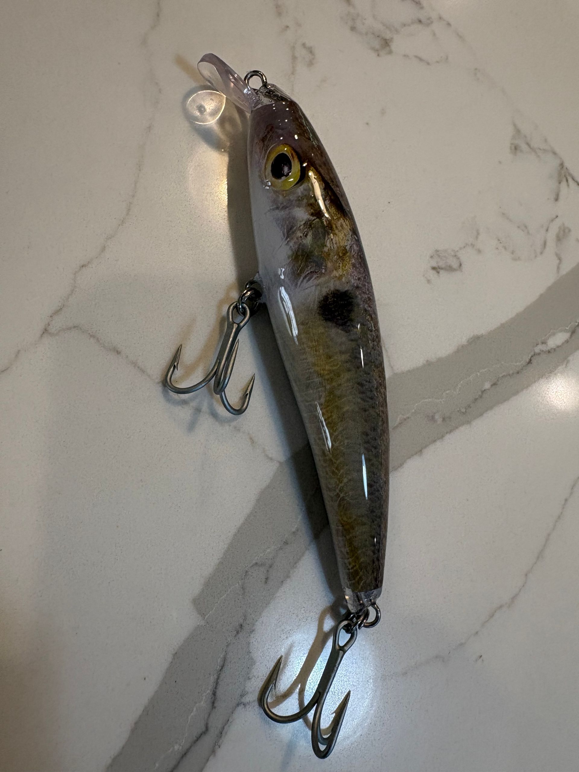Baby Gizzard Shad Live Series Casting Crank Bait, 5.5 in, 1.6 oz.