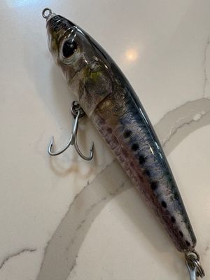 Lewdog School Tuna Grade Sardine Stick Bait,7.0 Lewdog School Tuna Grade Sardine Stick Bait,7.0", 4.2 oz to 4.8 oz. VMC 6X Gladiator hooks.