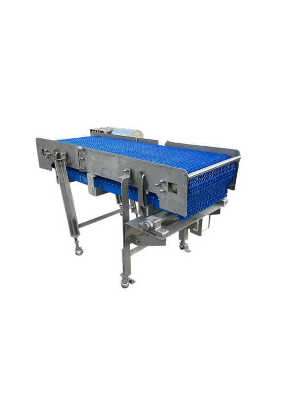 Used Sealed Air Conveyor  - # 3823