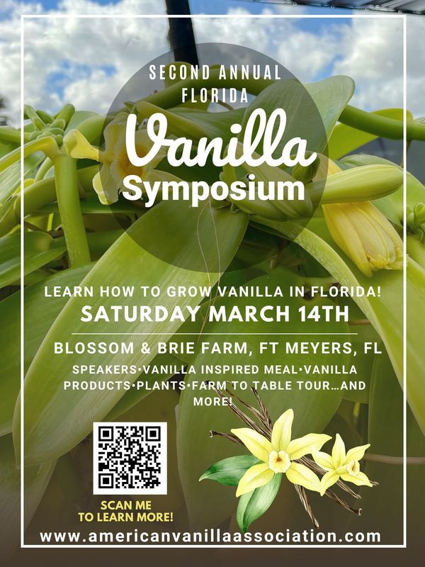 Early Bird In Person Ticket