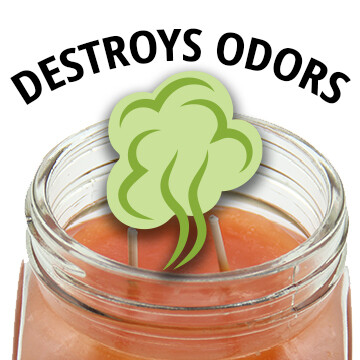 Destroy Odors