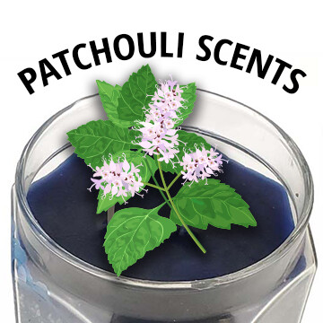 Patchouli Scents