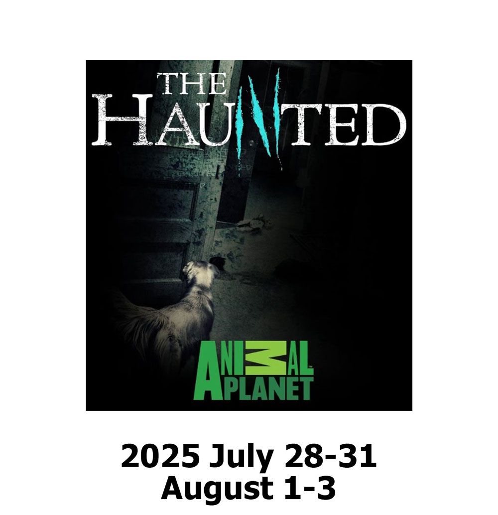 Haunted History Tour Tickets