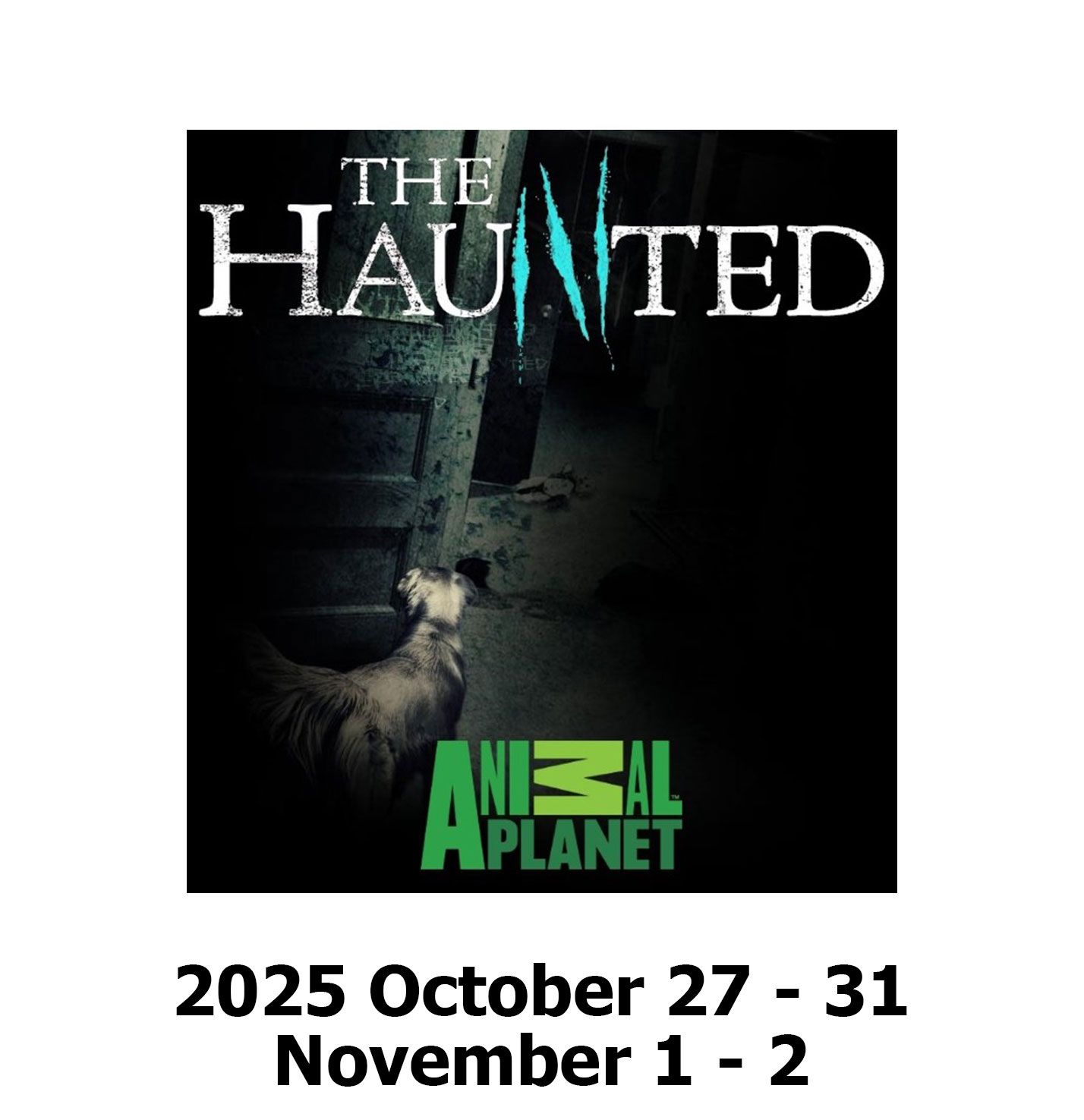 Haunted History Tour Tickets