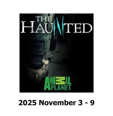 Haunted History Tour Tickets