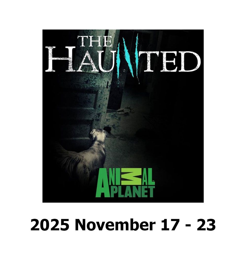 Haunted History Tour Tickets