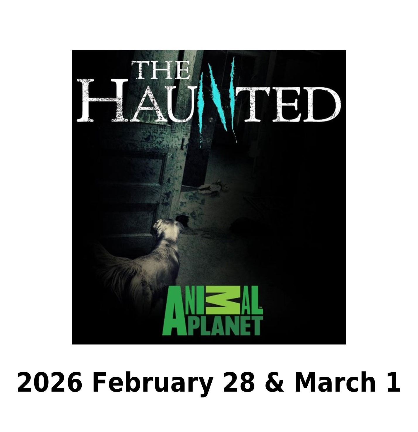 Haunted History Tour Tickets