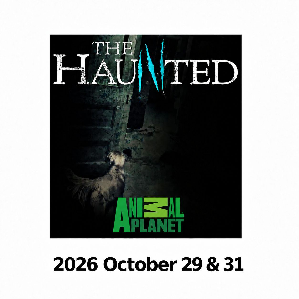 Haunted History Tour Tickets