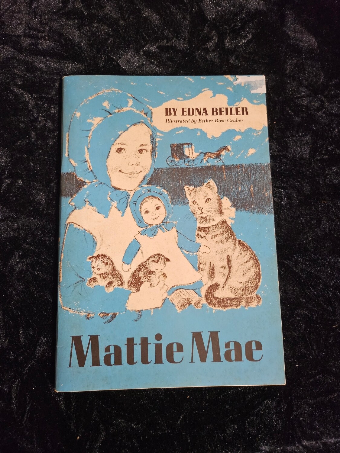 Mattie Mae Amish story book
