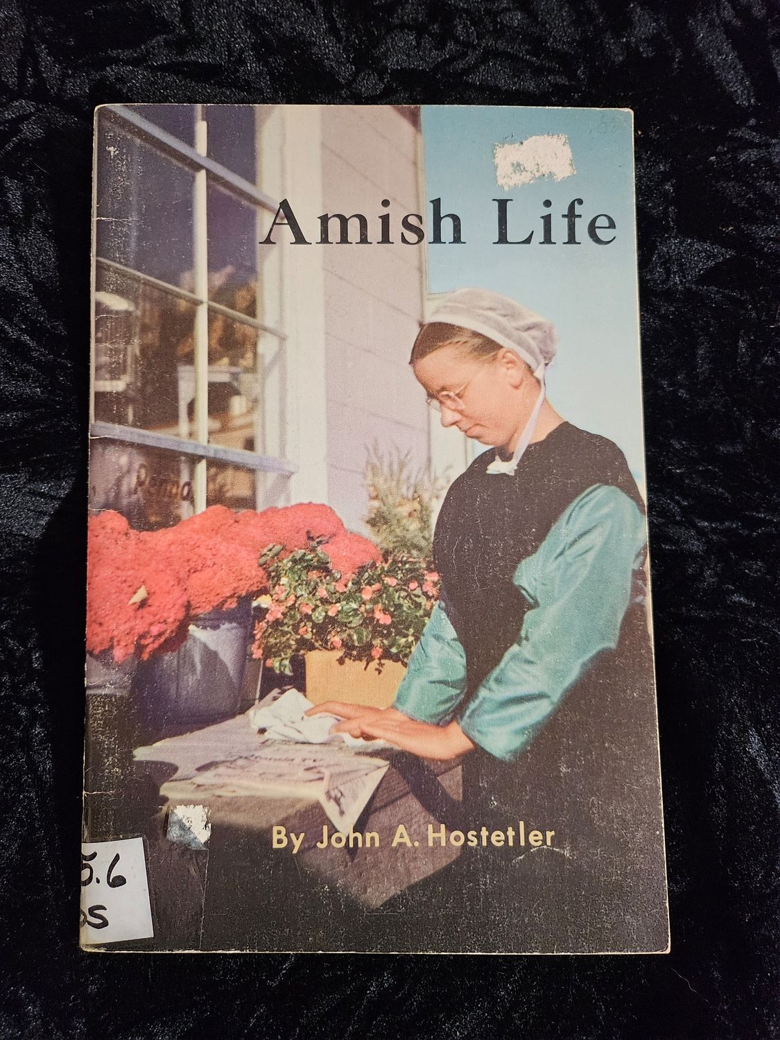 Amish Life