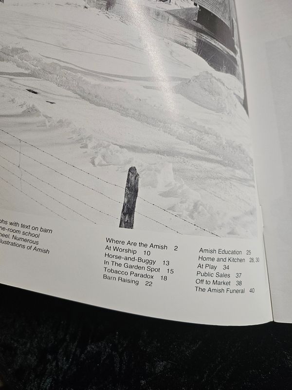 Among the Amish